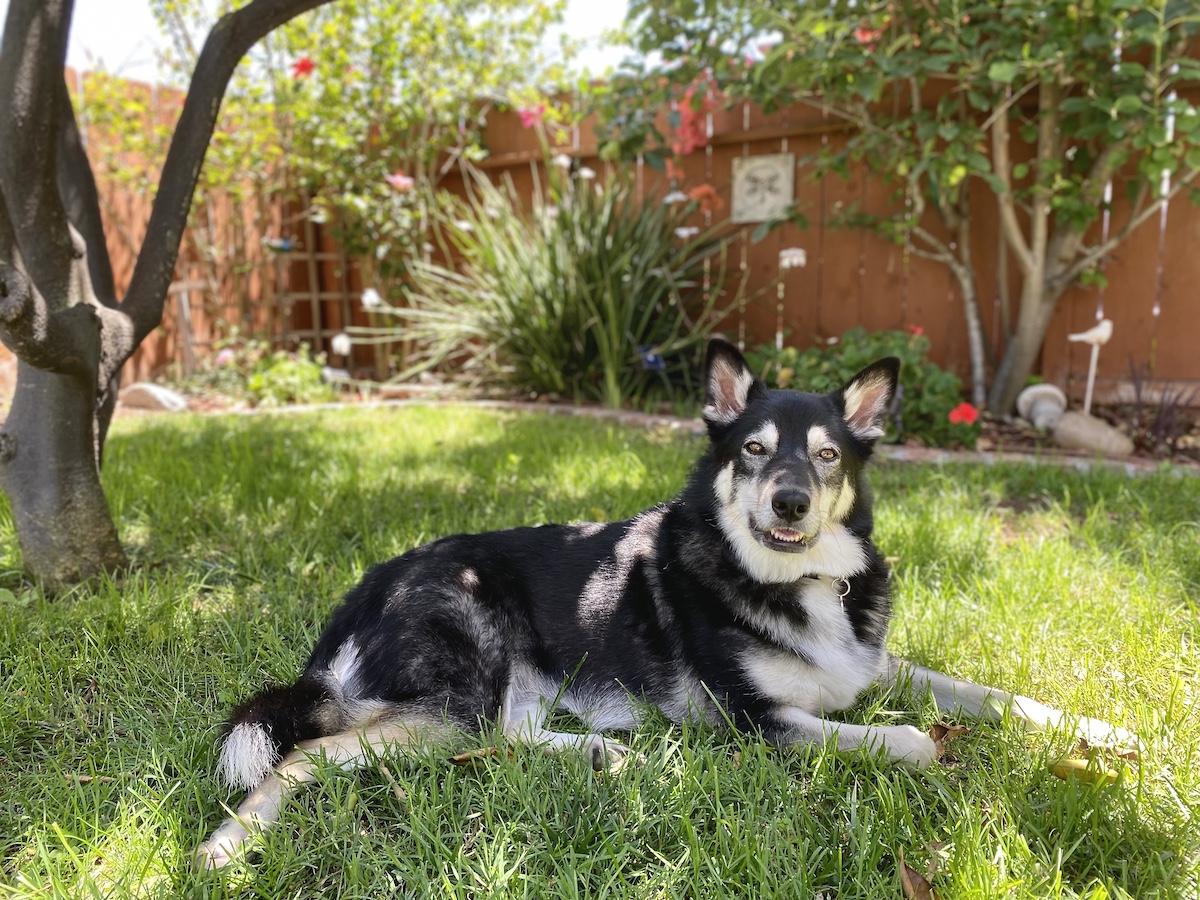 Palm Beach Eco-Friendly Pest Control